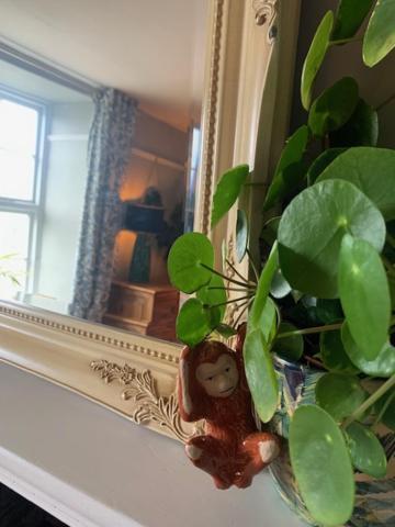 Dolgellau Townhouse 2 Minutes To Town & Mountains Βίλα Εξωτερικό φωτογραφία